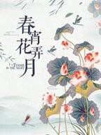 台湾电影《春宵花弄月》的播出时间